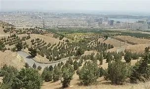 پارک جنگلی لتمال