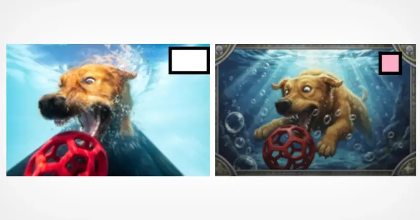 dog-playing-with-red-ball-underwater-6a6097b0323380af6ac068f2