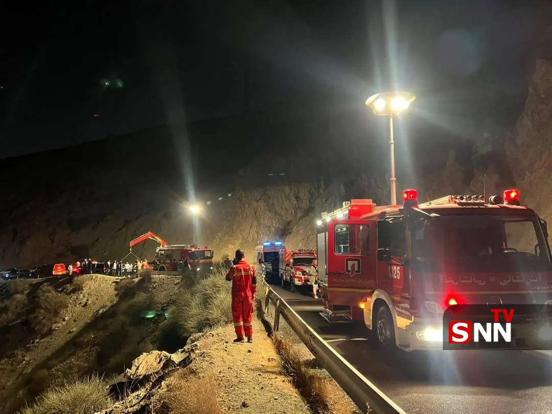 photo_1_2025-11-08_00-18-38