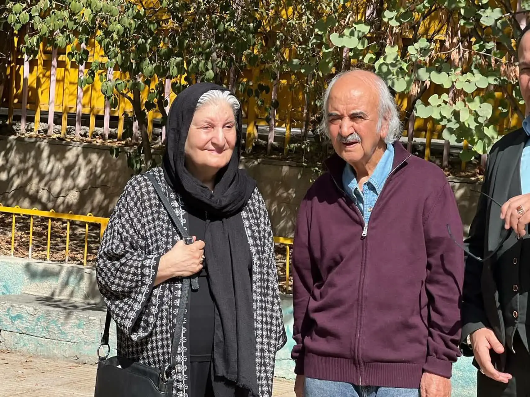 ثمینه باغچه‌‎بان