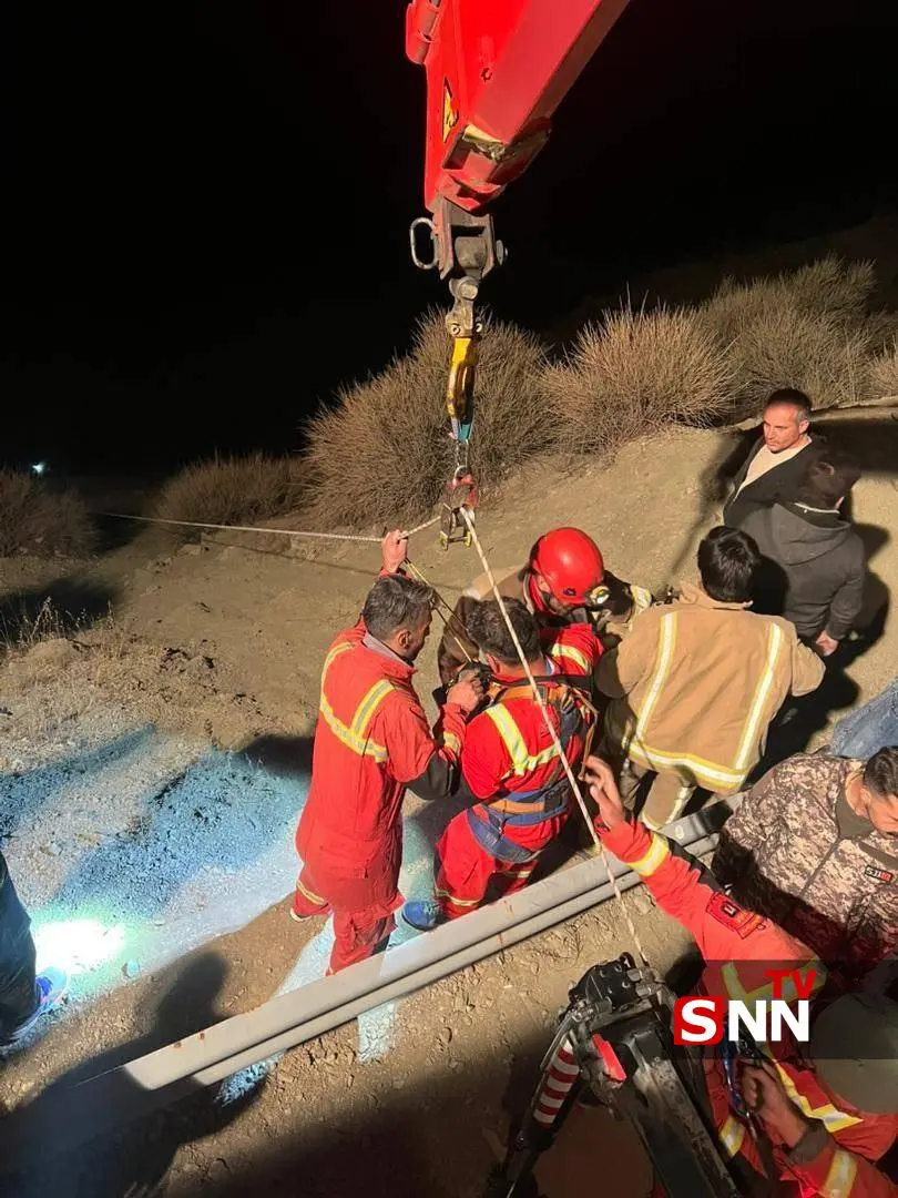 photo_3_2025-11-08_00-18-38