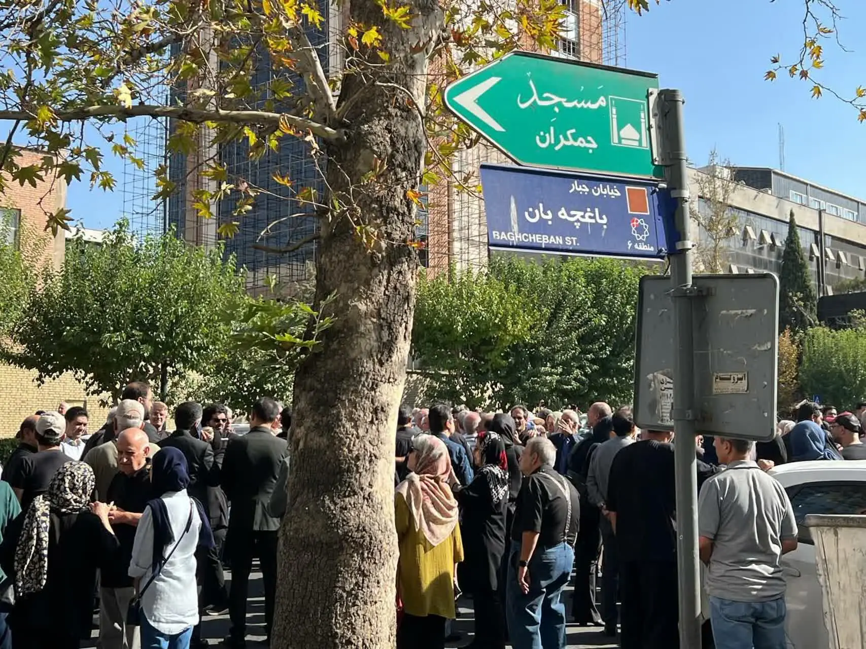 ثمینه باغچه‌‎بان