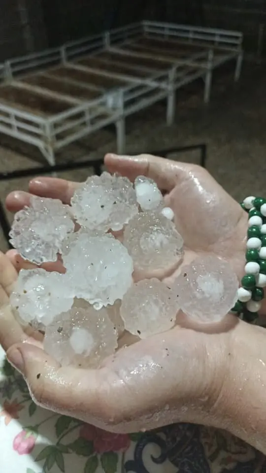 photo_2025-12-12_23-06-10