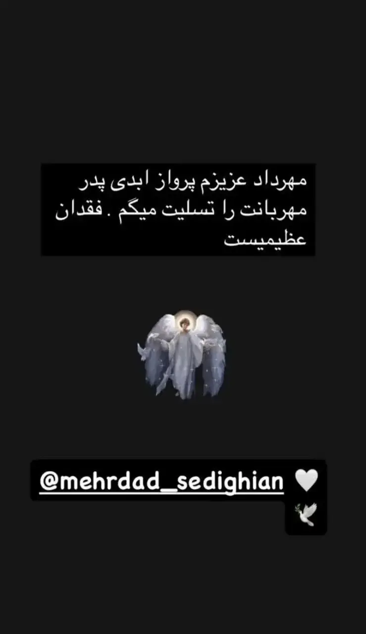 photo_1_2025-11-21_18-53-53