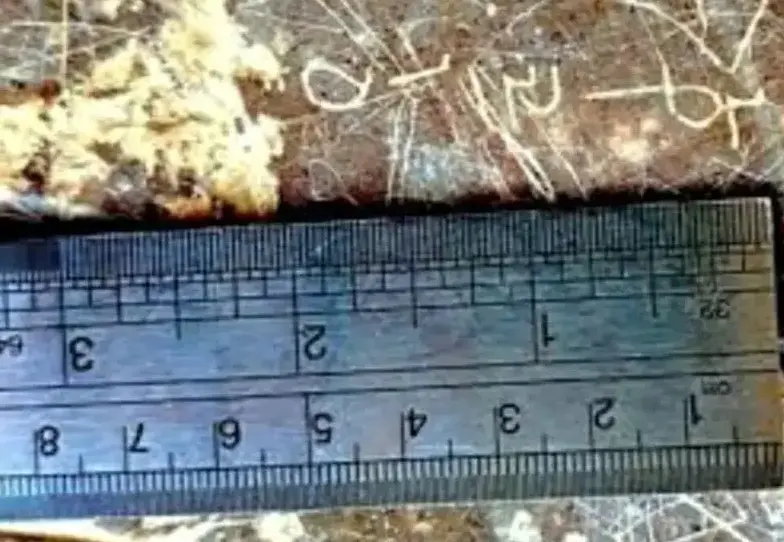 Screenshot 2026-02-26 192955