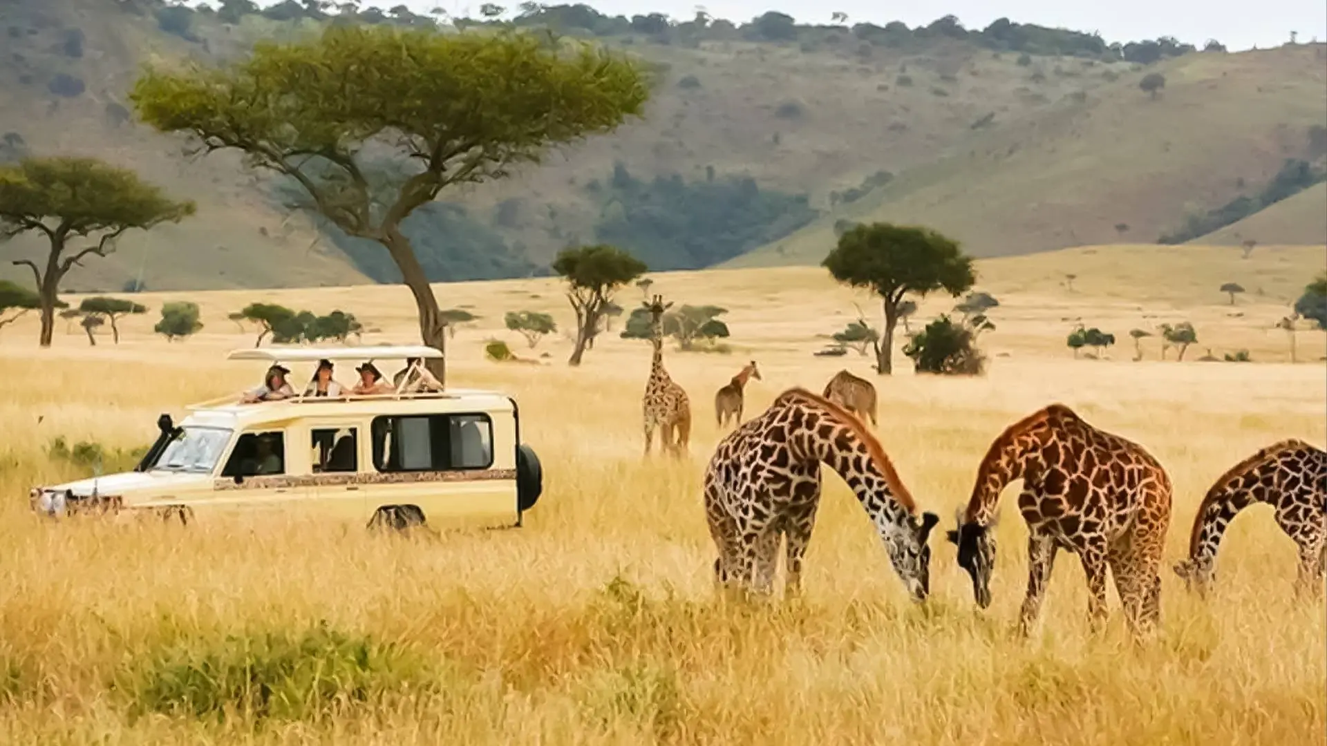 سافاری کنیا با آب‌وهوای متعادل نوروز