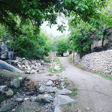 یزد