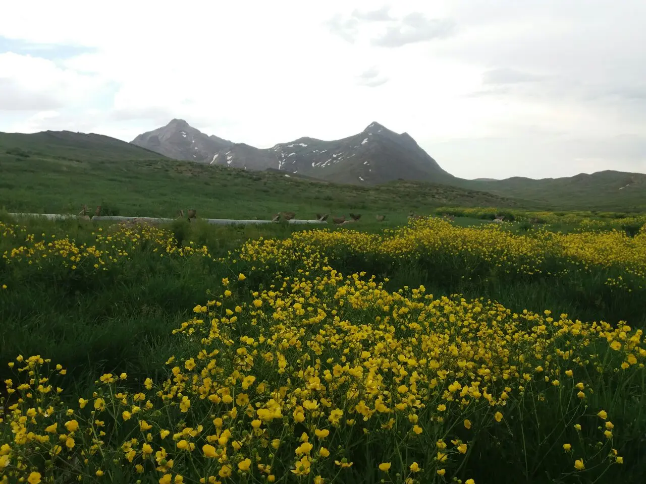 روستای انالوجه