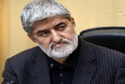 علی مطهری از اوباش گردانی در خیابان دفاع کرد