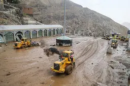 تلخ ترین آگهی روی دیوار های تهران | همه گریستند! +تصویر