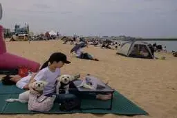 تصاویرسواحل کره جنوبی با کاهش تلفات ویروس کرونا 