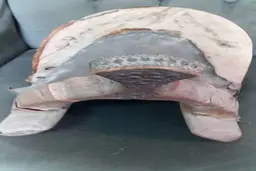  اهدای زین اسب ایرانی با قدمت ١٢٠ ساله به اولین موزه اسب آسیا 