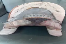  اهدای زین اسب ایرانی با قدمت ١٢٠ ساله به اولین موزه اسب آسیا 