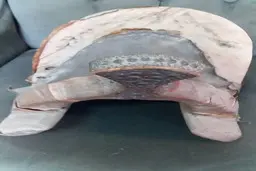  اهدای زین اسب ایرانی با قدمت ١٢٠ ساله به اولین موزه اسب آسیا 