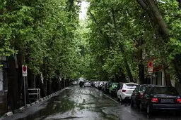 باد و باران در کدام استان‌ها دیده می‌شود؟