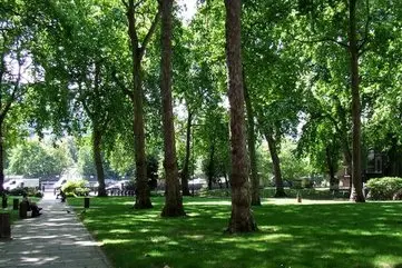 پایتخت‌های بزرگ چقدر برای فضای سبز هزینه می‌کنند؟ | شهرهای سرزنده