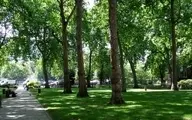 پایتخت‌های بزرگ چقدر برای فضای سبز هزینه می‌کنند؟ | شهرهای سرزنده