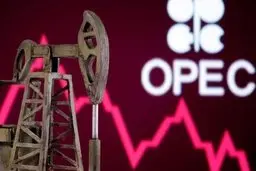 نفت | از سال آینده تولید نفت اوپک پلاس افزایش میابد 