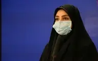 وزارت بهداشت |  پیگیر تعطیلی تهران در قالب دورکاری هستیم 