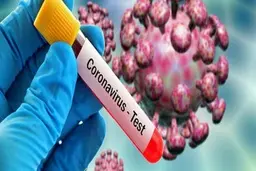 کره جنوبی چگونه کرونا ویروس را شکست داد؟