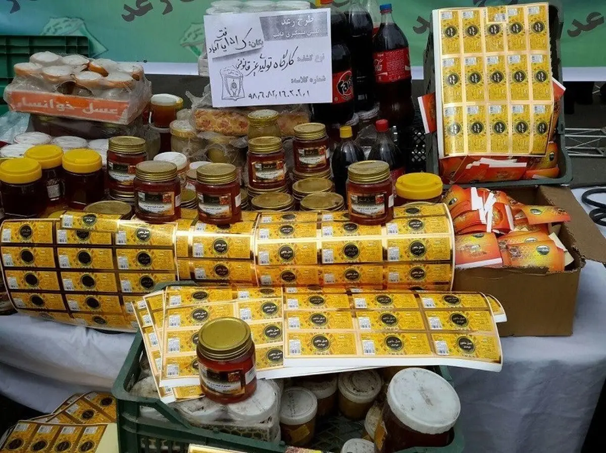 راهکار خروج صنعت زنبور داری کشور از تک محصولی | چقدر از 100 هزار تُن تولید ایران، «عسل طبیعی» است؟ | عسل هایی که زنبور عسل، نقشی در تولید آنها ندارد! 