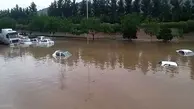 فرماندار مشهد در سیل غرق در بی‌توجهی | سرگرم هدایت ترافیک به جای مدیریت بحران! +ویدیو