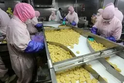 فروش مواد غذایی۵۰ درصد کاهش یافت