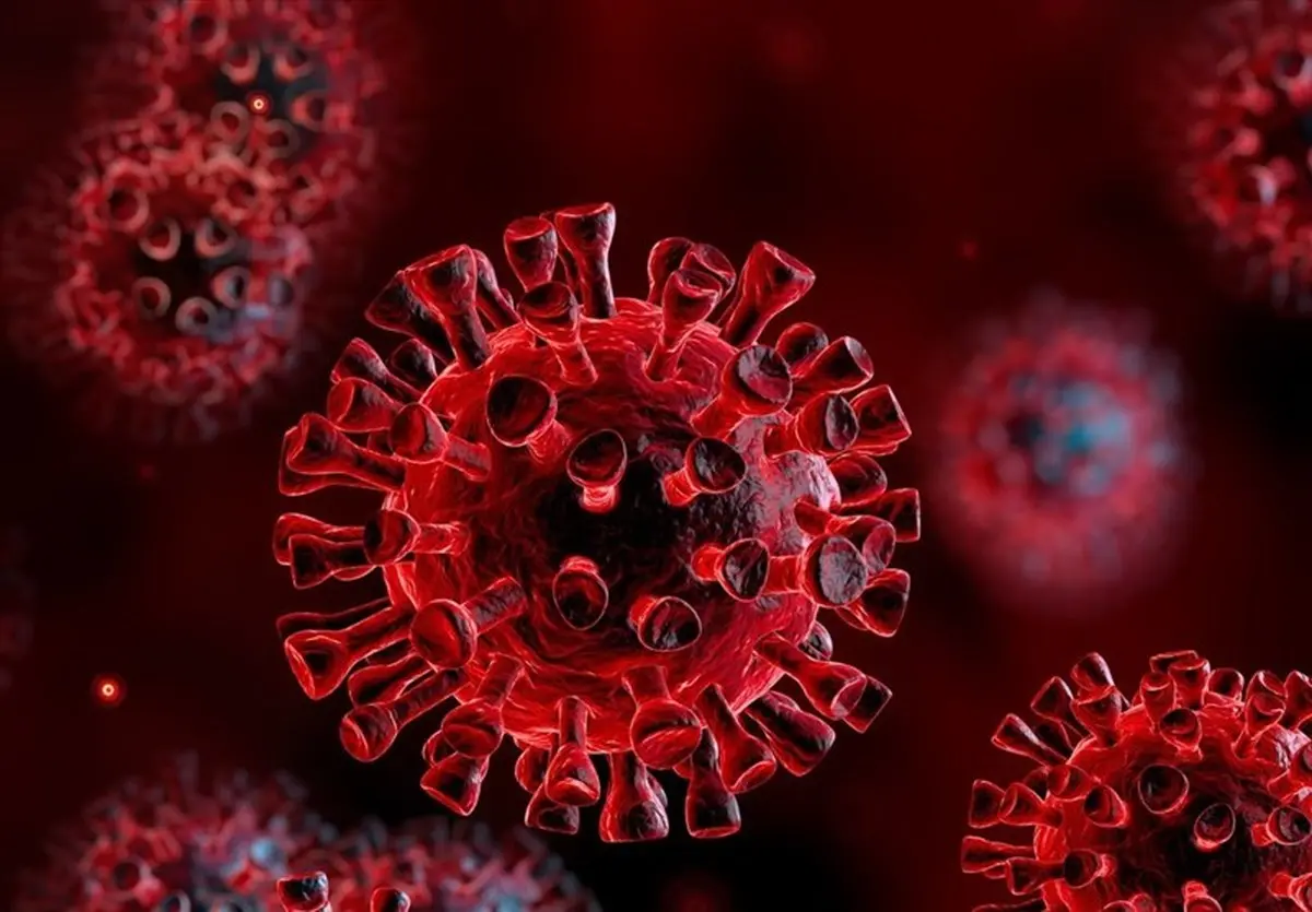 نتایج یک مطالعه جدید: ویروس کرونا دارای ۶ نوع با علائم خاص خود است