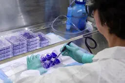 فلج اطفال بازگشت!