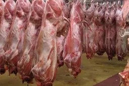 
نرخ گوشت گوسفندی در ماه مبارک رمضان به چه قیمتی خواهد رسید؟
