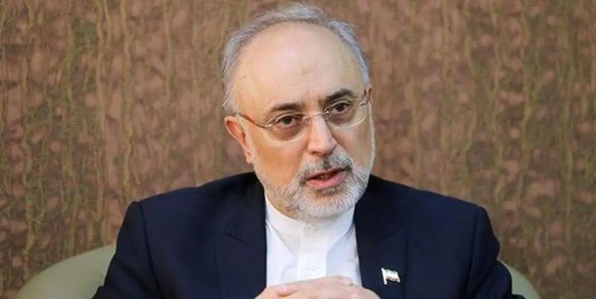 
علی اکبر صالحی: تهران به آژانس هشدارداد