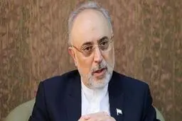 
علی اکبر صالحی: تهران به آژانس هشدارداد