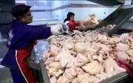 قیمت مرغ در بازار امروز 17 مرداد | قیمت بال مرغ در بازار ۱۱۲ هزار تومان شد! + جدول