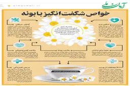 خواص شگفت‌انگیز بابونه