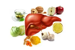 برای اینکه مدام مطب پوست نری این دمنوش رو بخور! | دمنوش عالی برای درمان کبد چرب +ویدئو