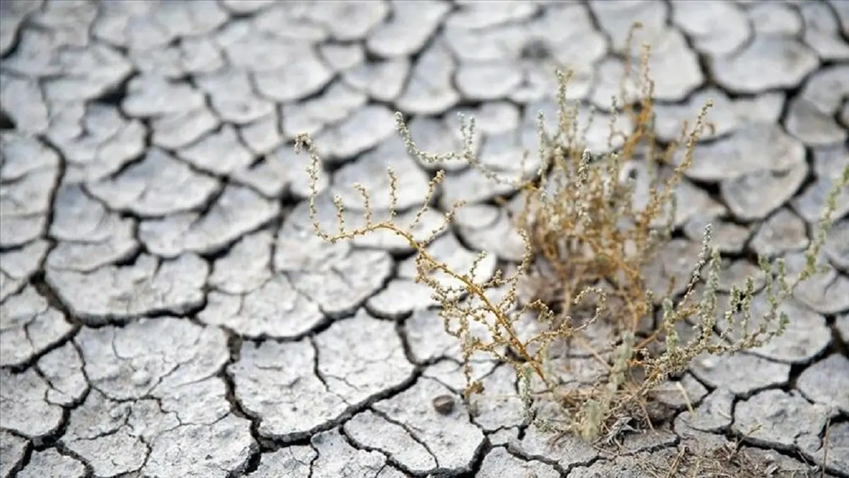 فرسایش خاک در ایران ۷ برابر میانگین جهانی است