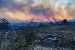 
ادامه آتش سوزی در جنگل‌های استان فارس