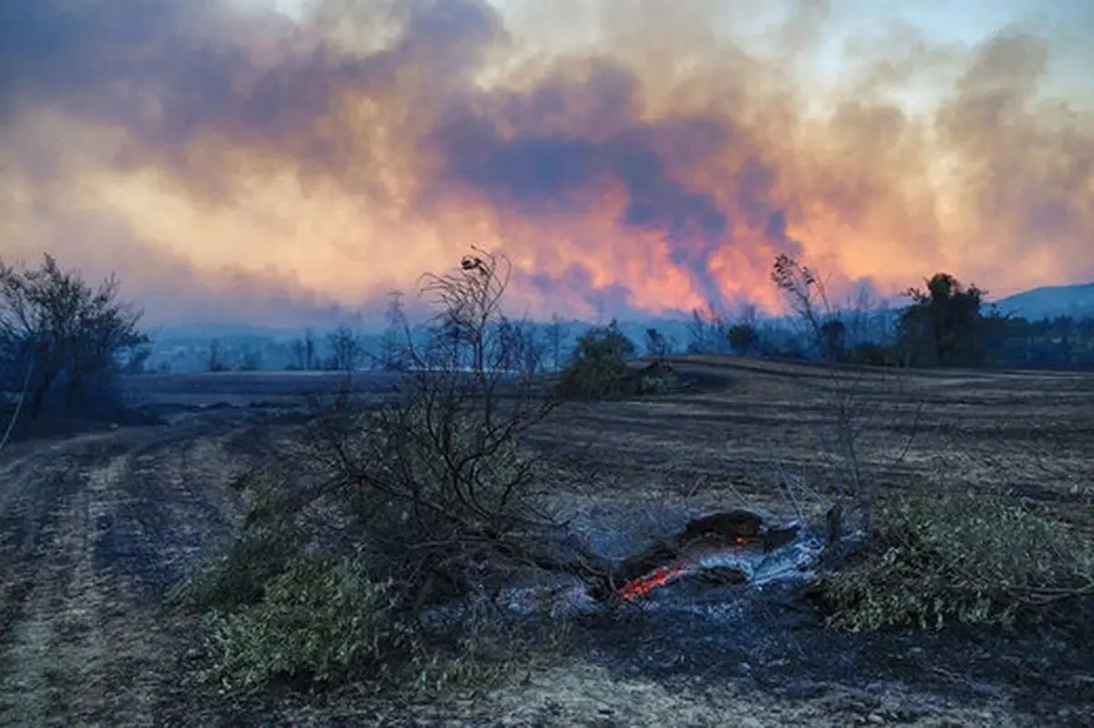 
ادامه آتش سوزی در جنگل‌های استان فارس