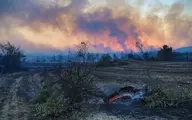 
ادامه آتش سوزی در جنگل‌های استان فارس
