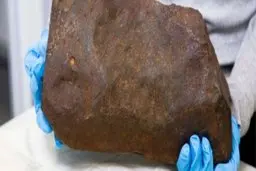 کشف این سنگ باعث شد زندگی این مرد از این رو به اون رو بشه! |  حتی از طلا هم با ارزش تره 