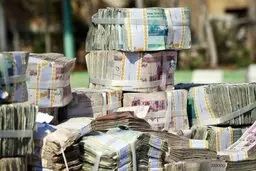 ارز ترجیحی حذف شود نیاز به نقدینگی ۵ برابر می‌شود