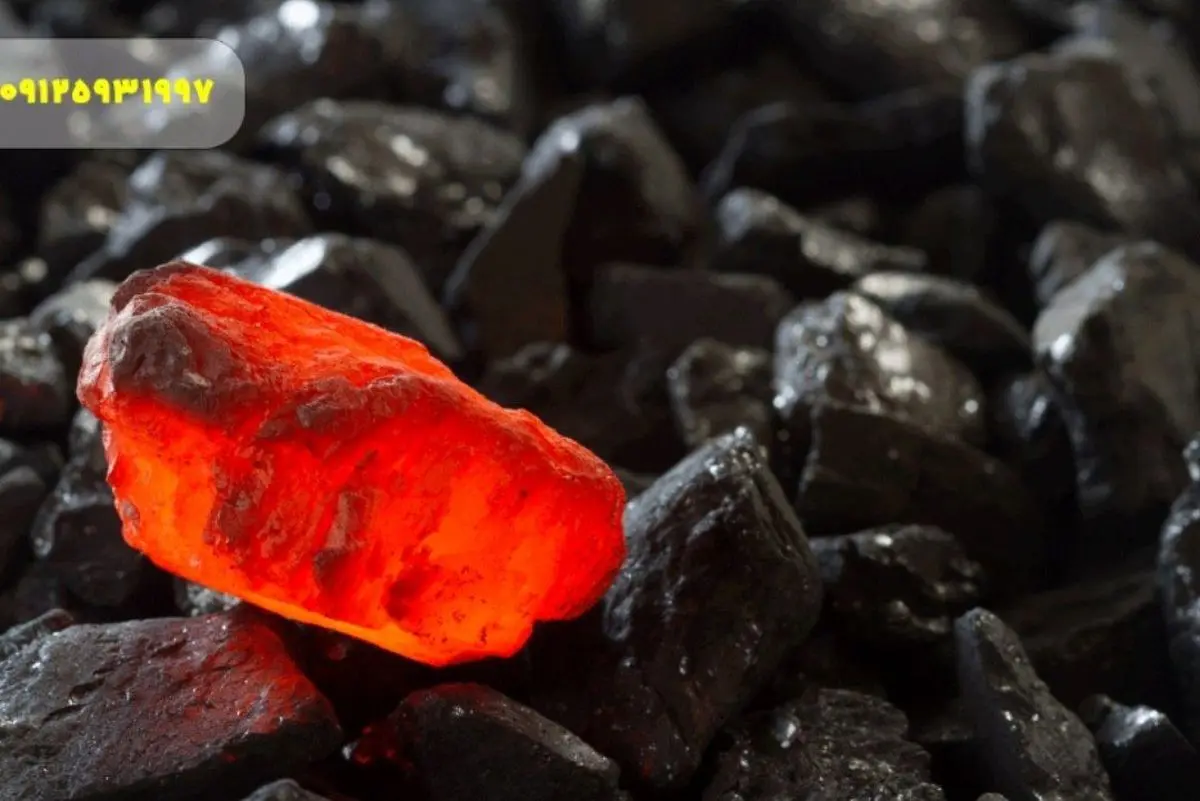 تولید زغال فشرده را به چشم یک فرصت شغلی ببینید!