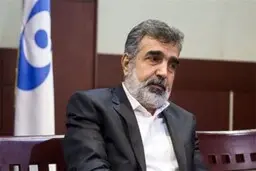  سازمان‌های بین‌المللی تحت نفوذ قدرت‌های بزرگ هستند
