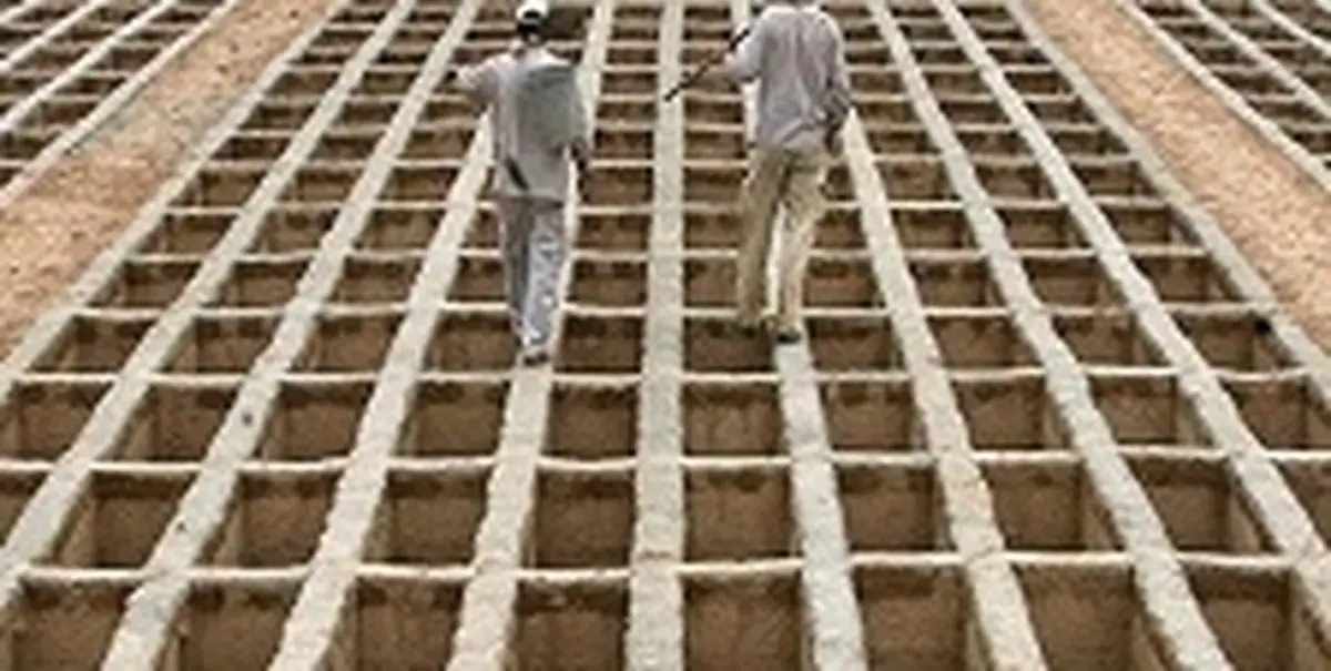 ۵ نقطه برای گورستان جدید انتخاب شد/ گورستان جدید در جنوب تهران نیست