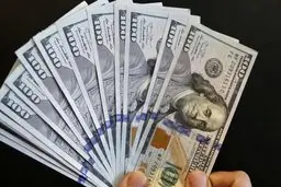 قیمت دلار صبحگاه سه شنبه ۳ تیرماه ۱۴۰۴ اعلام شد
