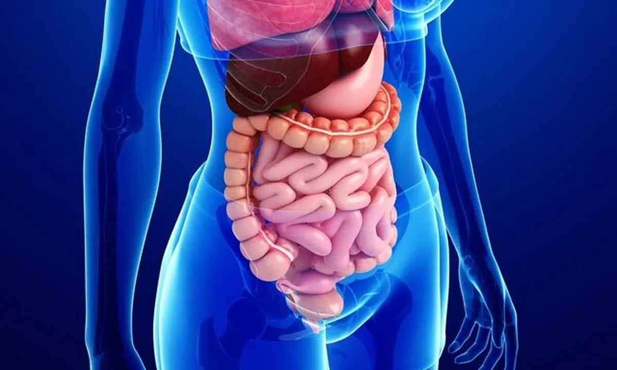 کرونا با دستگاه گوارش چه میکند ؟
