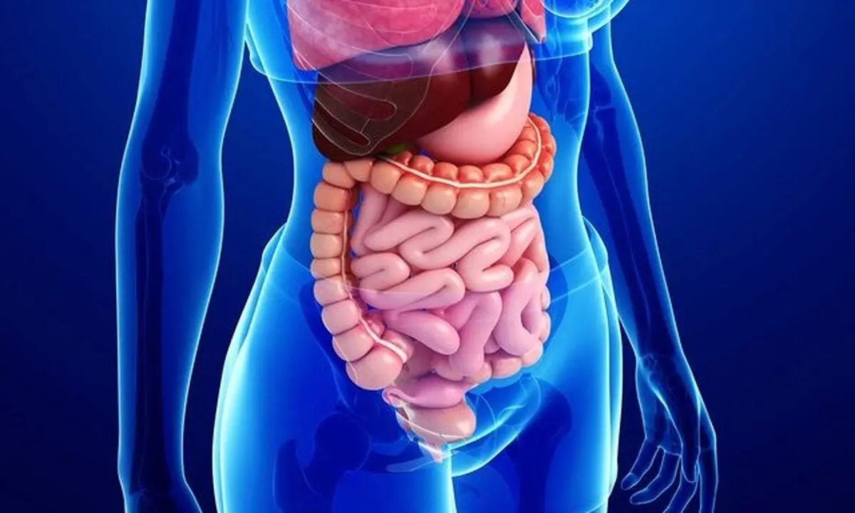 کرونا با دستگاه گوارش چه میکند ؟