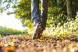 بهترین زمان پیاده روی برای سلامت و چربی‌سوزی بدن | بهترین زمان پیاده روی بر اساس تحقیقات