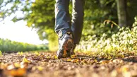 بهترین زمان پیاده روی برای سلامت و چربی‌سوزی بدن | بهترین زمان پیاده روی بر اساس تحقیقات