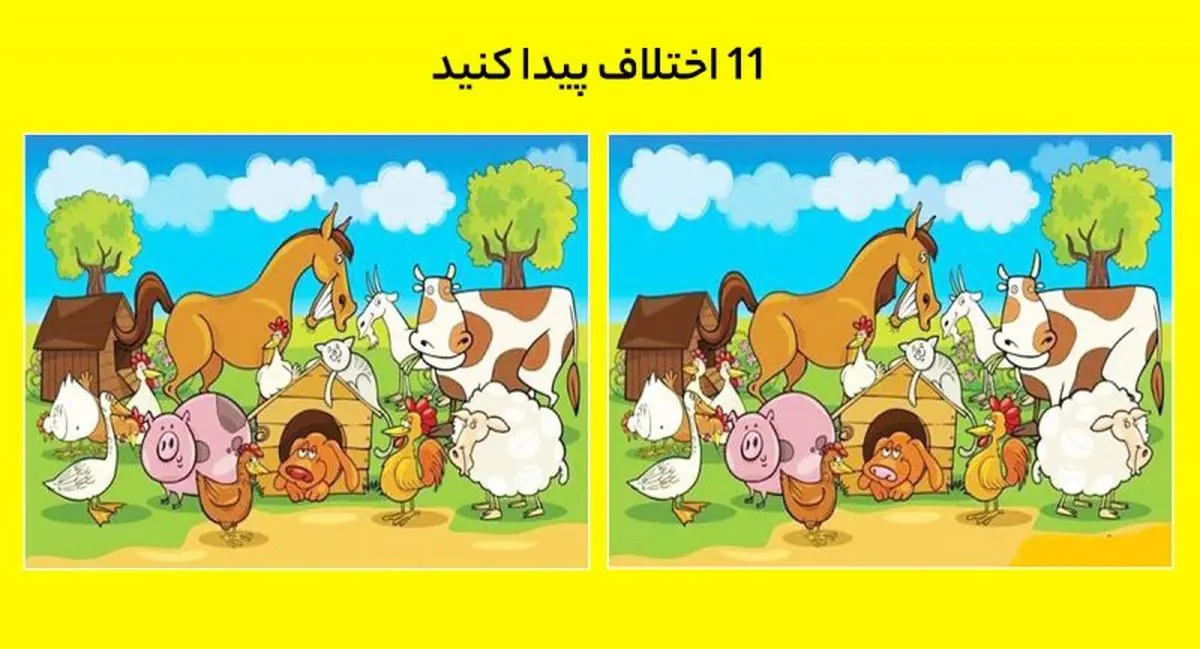 تست بینایی |  11 اختلاف میان این دو تصویر مزرعه حیوانات پیدا کنید؟ + پاسخ